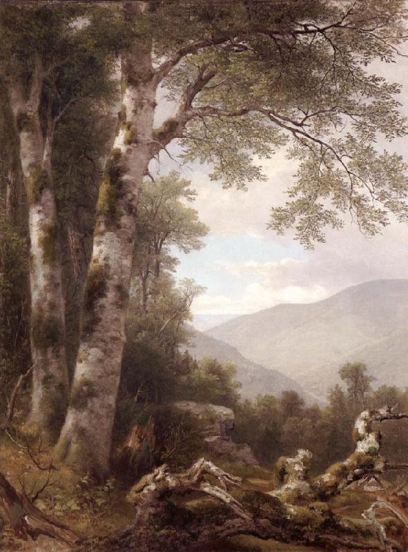 Asher Brown Durand Landscape with Birches China oil painting art
